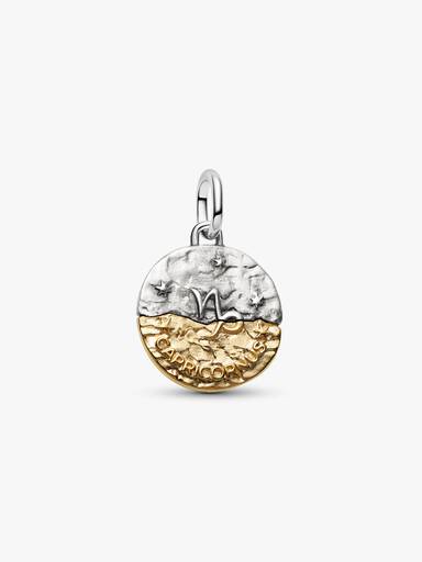 Capricorn Zodiac Medallion Charm