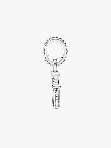 Good Luck Horseshoe Dangle Charm